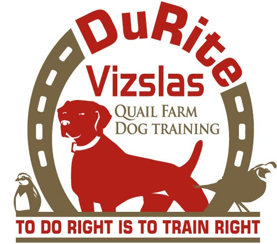 Durite Vizslas